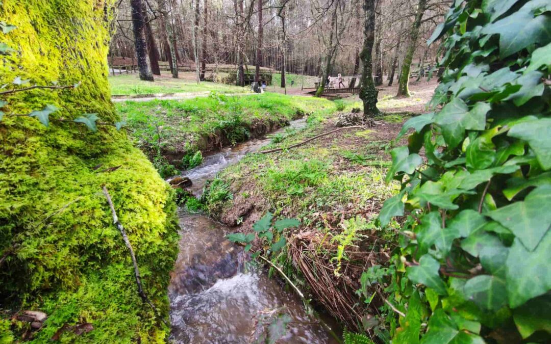 El parque forestal do Pouso o cómo Vigo te ofrece un lugar donde perderte cualquier tarde