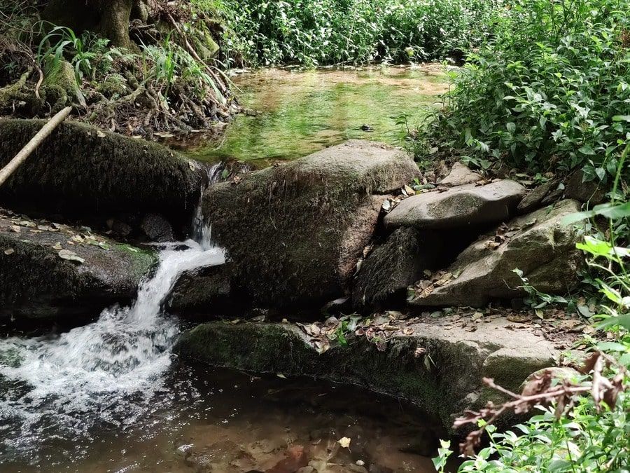 La ruta del río Eifonso: un pedacito de Vigo oculto entre sus bosques